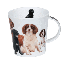 Bild von Dunoon Cairngorm Dogs & Puppies spaniel